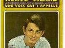 Herve Vilard