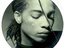 Terence Trent D'Arby Introducing The... picture disc LP vinyl  record UK