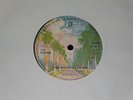 SINCE YOU SAID YOU'D BE MINE - LOU RAGLAND  - ORIGINAL UK WARNER BROS - 1973.