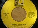 Albert Washington - Case Of The Blues - One More Chance - Rye954 mp3