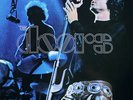 THE DOORS ?- Absolutely Live 2 x LP COLORED Vinyl Album Record Store Day - RSD