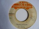 JOY WHYTE Tribulation TAXI  Killer Female Roots Reggae 7