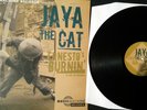 Jaya The Cat ?