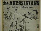 Abyssinians 