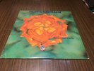 BLACK SABBATH amorous circle RARE LIVE live sun plaza hill japan 1980  2 LP