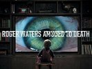 Amused To Death [VINYL]
