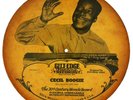Cecil Gant 10” picture disc. c.1945. Cecil’s Boogie / I Wonder. Gilt Edge. Rare.