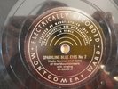 Wade Mainer Mountainers, Sparkling Blue Eyes No.2,Montgomery Ward M-8448 Country