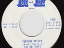 DEL-RAYS Fortune Teller / Dimples RARE *orig* 45 northern soul r&b garage HEAR