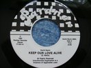 RARE MODERN SOUL - DAVID NEVIN - KEEP OUR LOVE ALIVE / THE MAZE 45 orig PARDNER