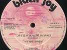 Wayne Smith - Life Is a Moment In Space UK Black Joy 12