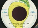 Delano Tucker - Build Our Country JA Mango 7
