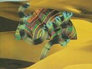 DJANGO DJANGO LP VINYL AND CD NEW 33RPM 2012 DEBUT RECORD