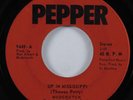 Psych Rock 45 MUDCRUTCH Up In Mississippi PEPPER  first tom petty HEAR