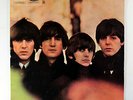 The Beatles - Beatles For Sale (UK Vinyl LP Mono Early Pressing PMC 1206 3N/4N)