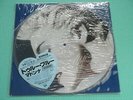 MADONNA Limited Picture Disc LP True Blue Japan P-15004 Heart OBI Excellent