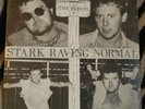 THE BLOOD STARK RAVING NORMAL 7