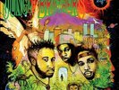 Jungle Brothers - 'Done By The Forces Of Nature' (Vinyl LP Record [2LP])