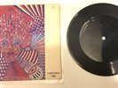 The Beatles 6th Christmas Record Fan Club Flexi Disc 7” Rare 1968