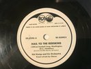 78 RPM ( RARE) PP - HAIL TH THE REDSKINS OFFICIAL FOOTBALL SONG -WASH REDSKINS