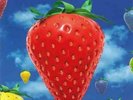 THE LIGHTNING SEEDS - JOLIFICATION - NEW VINYL LP / 7” (INDIES ONLY)