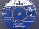SPENCER DAVIS GROUP 