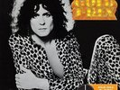 T-Rex-Solid Gold: T-Rex VINYL NEW