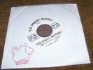 Anemic Boyfriends early US punk 45 Bad Girls In Love 7 Inch Vinyl Record