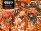 Baroness - Gold & Grey  2LP Red & Blue Vinyl Edition