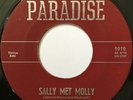INTERNS Sally Met Molly TEXAS GARAGE 45 *hear*