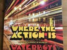 The Waterboys - Where The Action Is 12”  Vinyl Lp Signed Autographed