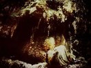 Wolves in the Throne Room - Celestial Lineage DLP