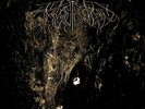Wolves in the Throne Room - Two Hunters DLP
