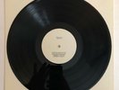 Gordon Lightfoot - Shadows - 1981 US Test Press BSK-1-3633 (NM) Ultrasonic Clean
