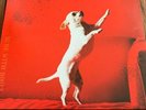 SUPER RARE Melvins - Nude With Boots Red Vinyl LP