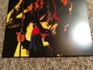 Cheap Trick - At Budokan [New Vinyl LP]