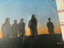 Rare Pysch. Lp The Common People(Original Capitol)