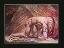 Atomic Rooster: Death Walks Behind You  LP vinyl