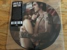 LANA DEL REY Born To Die 2011 PICTURE DISC 7