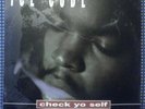 SEALED ICE CUBE CHECK YO SELF,IT WAS A GOOD DAY ORIG.1993 12