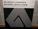 Alison Limerick - Where Love Lives ( Sauna Mix ) 12