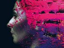 WILSON-Steven Wilson - Hand. Cannot. Erase. (2 Lp) VINYL LP NEW