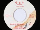 C&W Bopper 45 - Gene Sisco & Valley Playboys - Block Of Ice You - B&4 - VG+ mp3