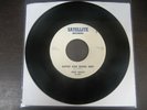 MEGA Rare ROCKABILLY 45 Don Willis BOPPIN' HIGH SCHOOL BABY Satellite EX HEAR