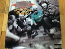 Diamond D & The Psychotic Neurotics ?– Stunts, Blunts, & Hip Hop, RARE OG promo