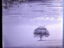GENESIS FEAT. PHIL COLLINS WIND & WUTHERING RARE STILL SEALED 1976 ATCO LP