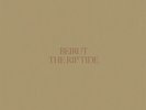 Beirut - The Rip Tide Vinyl LP Pompeii Records / Cargo NEW