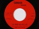 Garage 45 - Castaways - You Were Telling Lies/Ain't Gonna Cheat - Tornado NM mp3