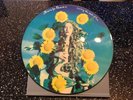 TEARS FOR FEARS Sowing The Seeds Of Love 12