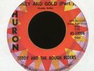 TEDDY & THE ROUGH RIDERS Money and Gold on Huron Rockabilly 45 Hear